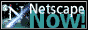 netscapeb